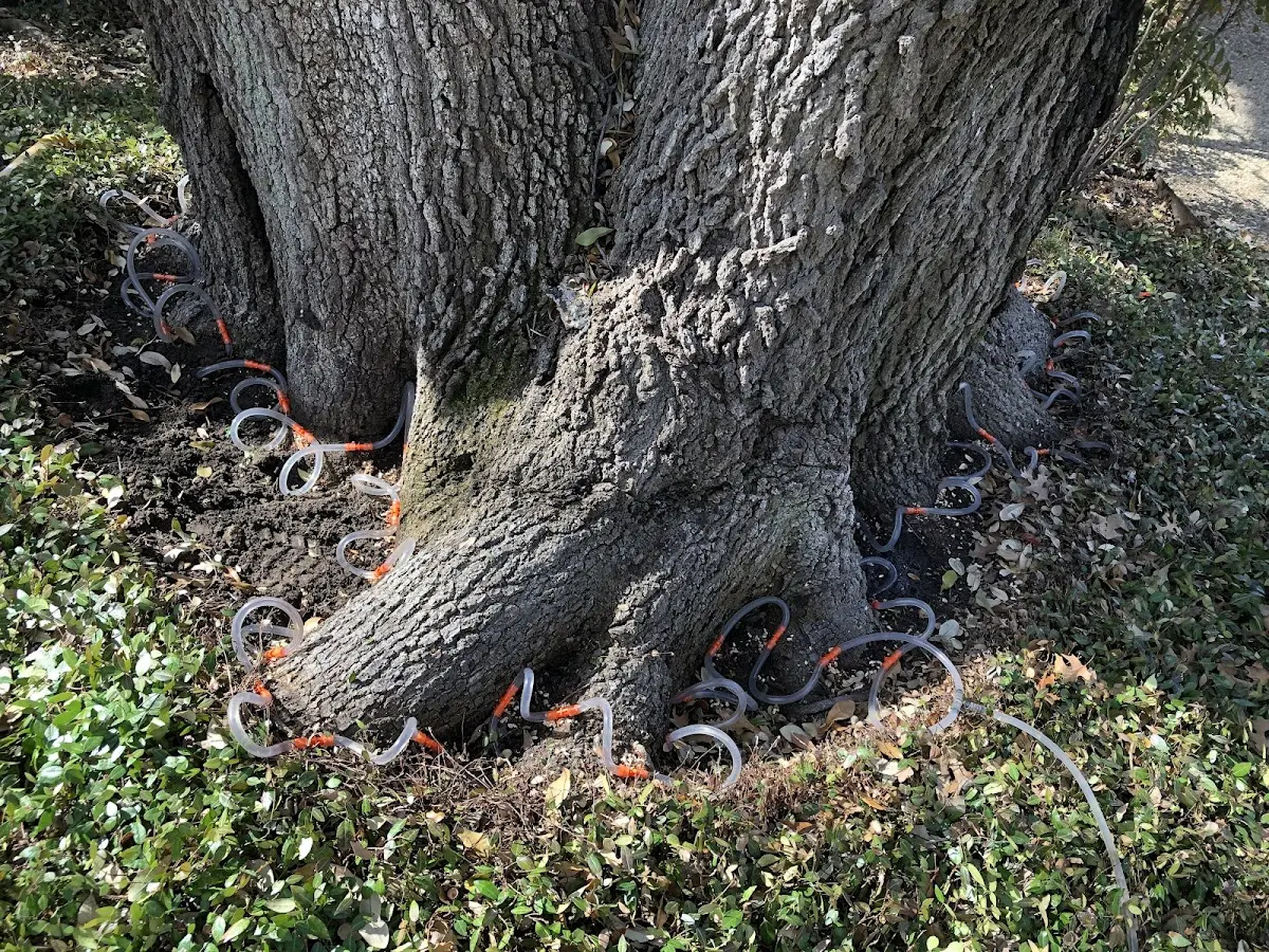 Detailed Shrub and Hedge Trimming job site in North Star
