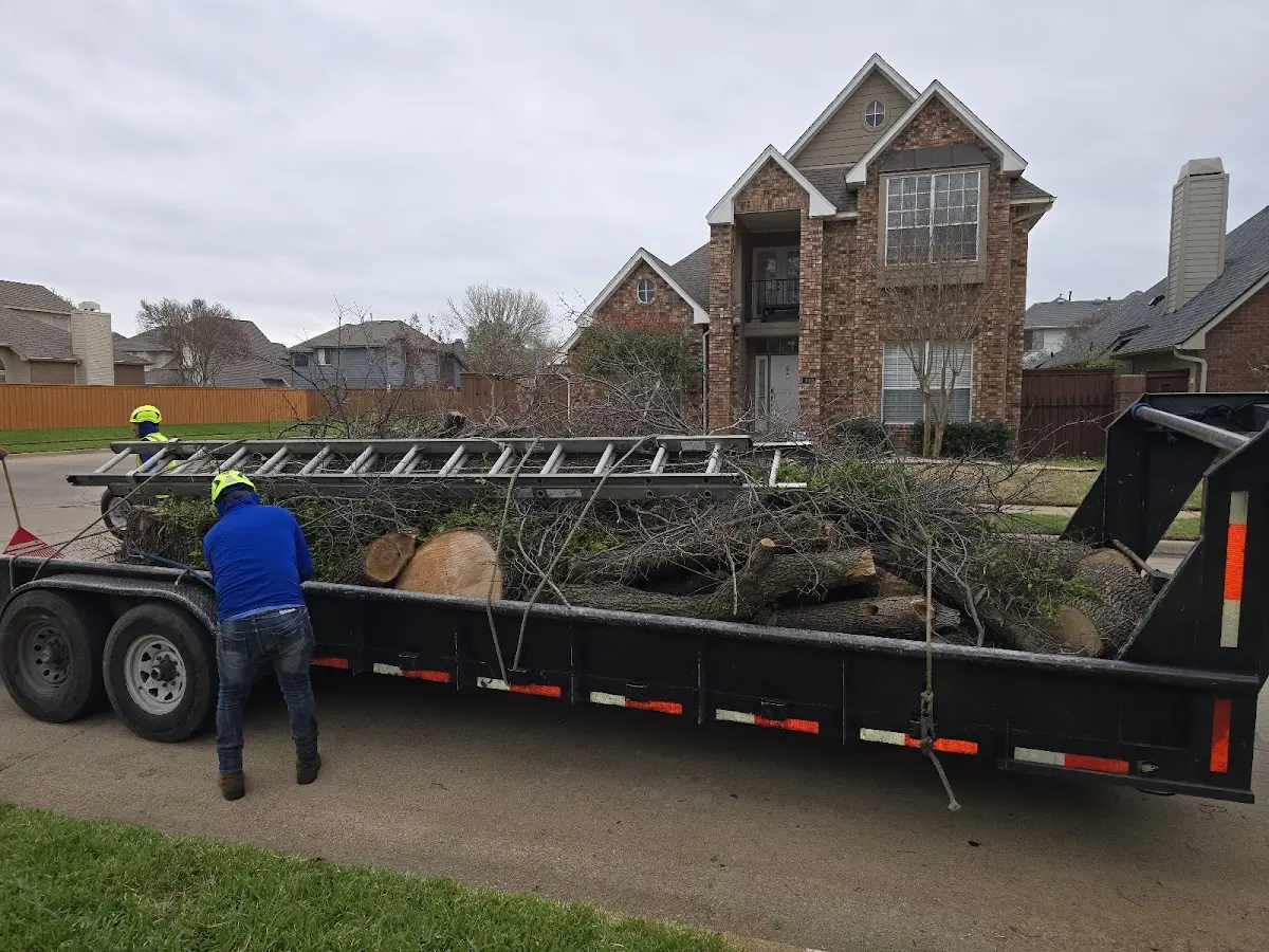 Expert Lot Clearing with proper safety equipment in North Star